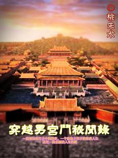 穿越男宫斗秘闻录txt下载