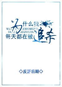 为什么我每天都在被追杀