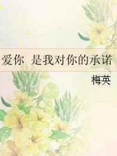 爱你,是我对你的承诺txt下载