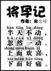将孕记txt下载